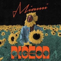 Miami - Pigeon
